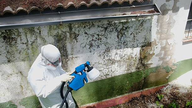 Trusted Bathroom Mold Removal service in Union City, MI - Cheap Mold Removal